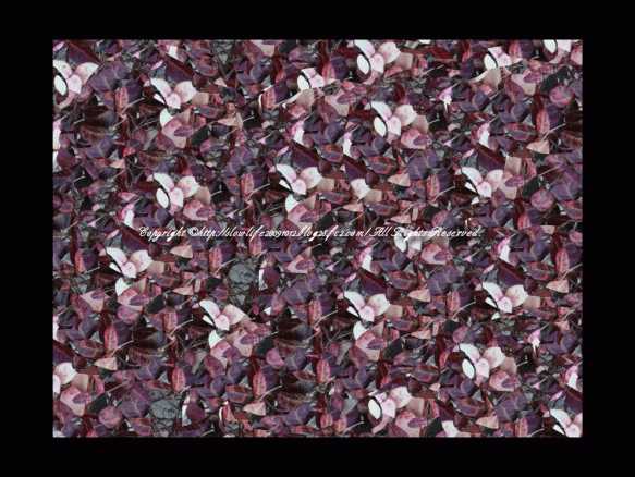 85469-125.gif
