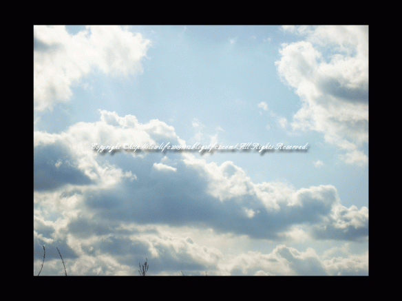 8976-115.gif