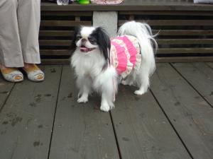 PAP_0052.jpg