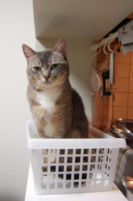 DSC_1646.jpg