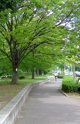 blog090825