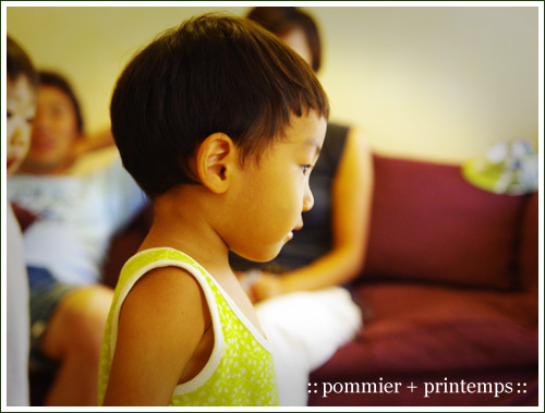 pommier+printemps20090906b.jpg