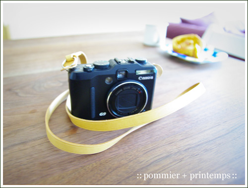 pommier+printemps20090908a.jpg