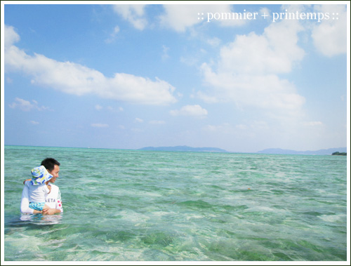 pommier+printemps20090917d.jpg