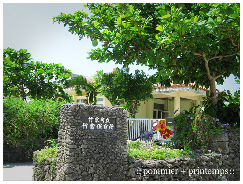 pommier+printemps20090917j.jpg
