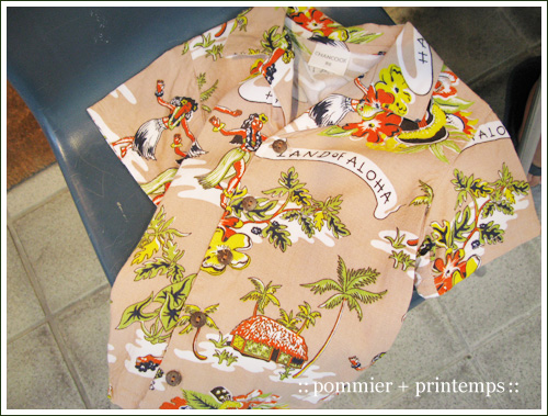 pommier+printemps20090919g.jpg
