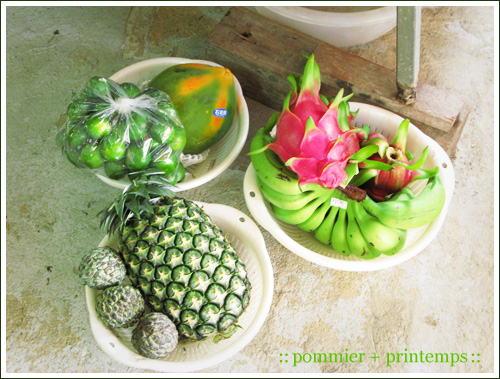 pommier+printemps20090920f.jpg