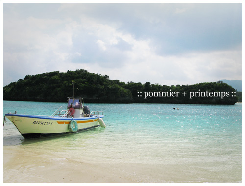 pommier+printemps20090920m.jpg