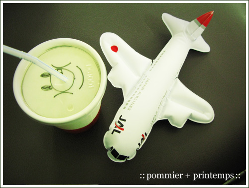 pommier+printemps20090921a.jpg