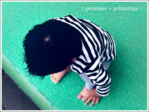 pommier+printemps20091009.jpg