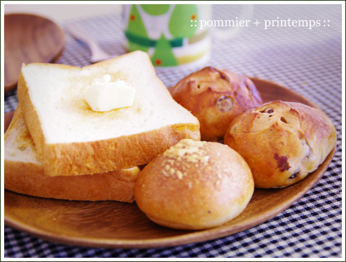pommier+printemps20110512.jpg