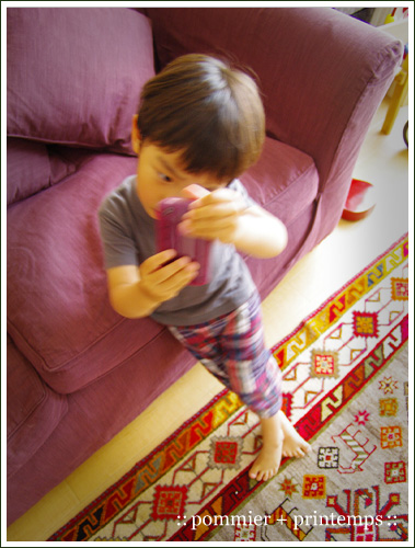pommier+printemps20110521.jpg