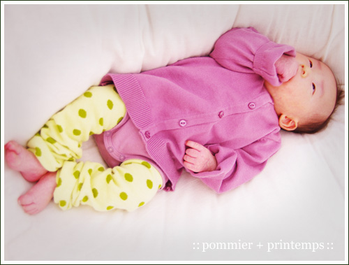 pommier+printemps20110602a.jpg