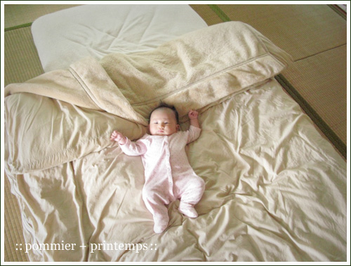 pommier+printemps20110607.jpg