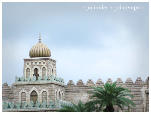 pommier+printemps20110608c.jpg