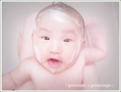pommier+printemps20110703.jpg