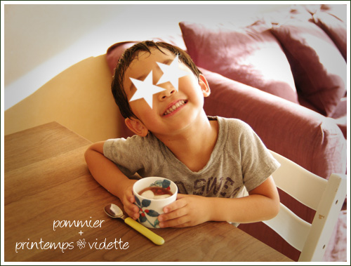 pommier+printemps20110714.jpg