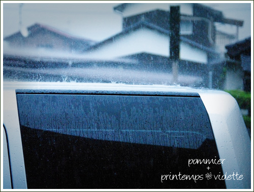 pommier+printemps20110825a.jpg