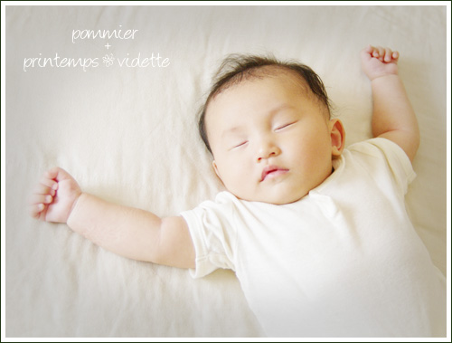 pommier+printemps20110830.jpg