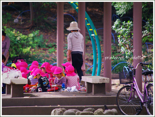 pommier+printemps201110 20c.jpg