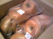 090827bagle