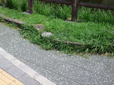 花壇の石垣