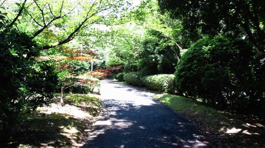 河西緩衝緑地松江緑地