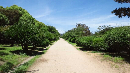 河西緩衝緑地松江緑地
