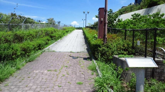 沙羅の木の小径