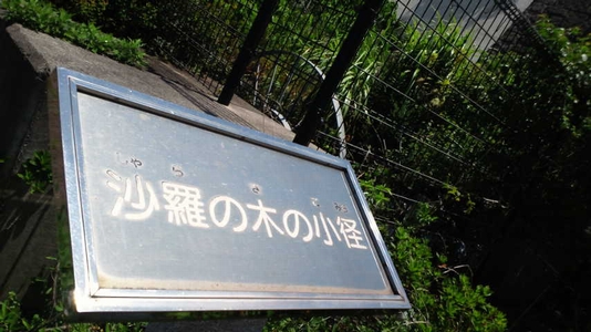 沙羅の木の小径