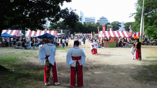 和歌山紀州踊りのぶんだらよさこい祭り