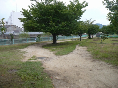 緑地帯