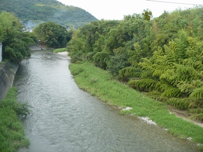 のどかな風景