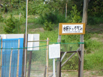 ドッグラン