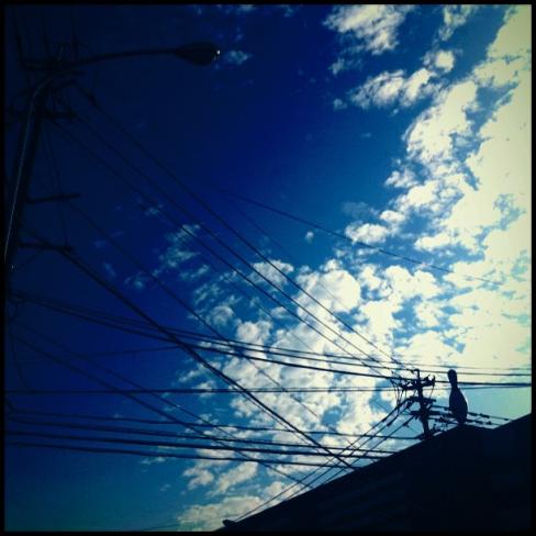 887f87a984394fc685c0ac3aeeea6d20_7.jpg