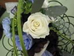 IMG_1491.jpg