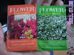 お花の種