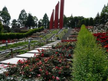 荒牧バラ公園(3)