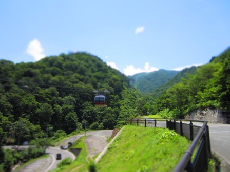 IMG_0131_20110716173623.jpg