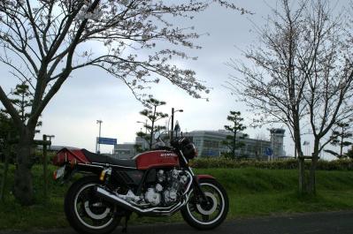 IMG_0513_20110406210101.jpg
