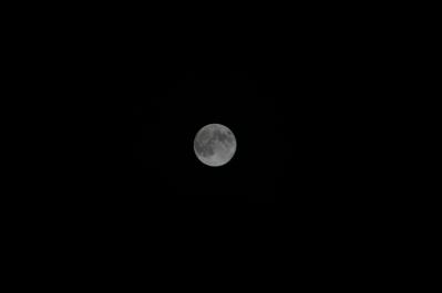 IMG_0853_20110912222023.jpg