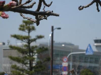 IMG_1872_20110406210245.jpg