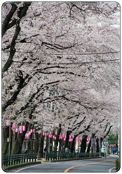 4月6日 008