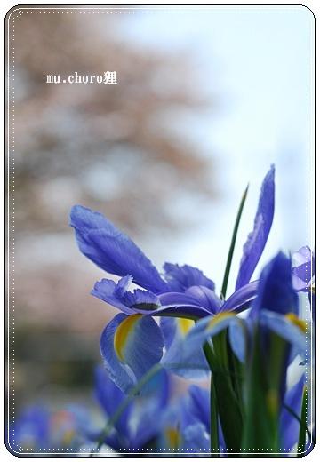 4月13日 063