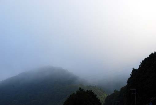 霧の朝1