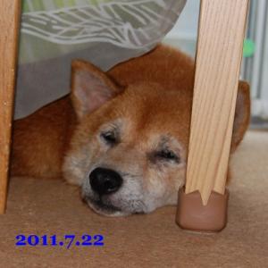 20110722_1.jpg