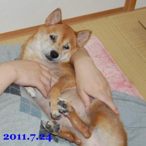 20110724_1.jpg