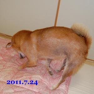 20110724_2.jpg