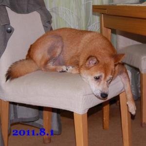 20110801_1.jpg