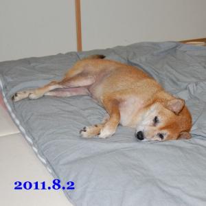 20110802_1.jpg